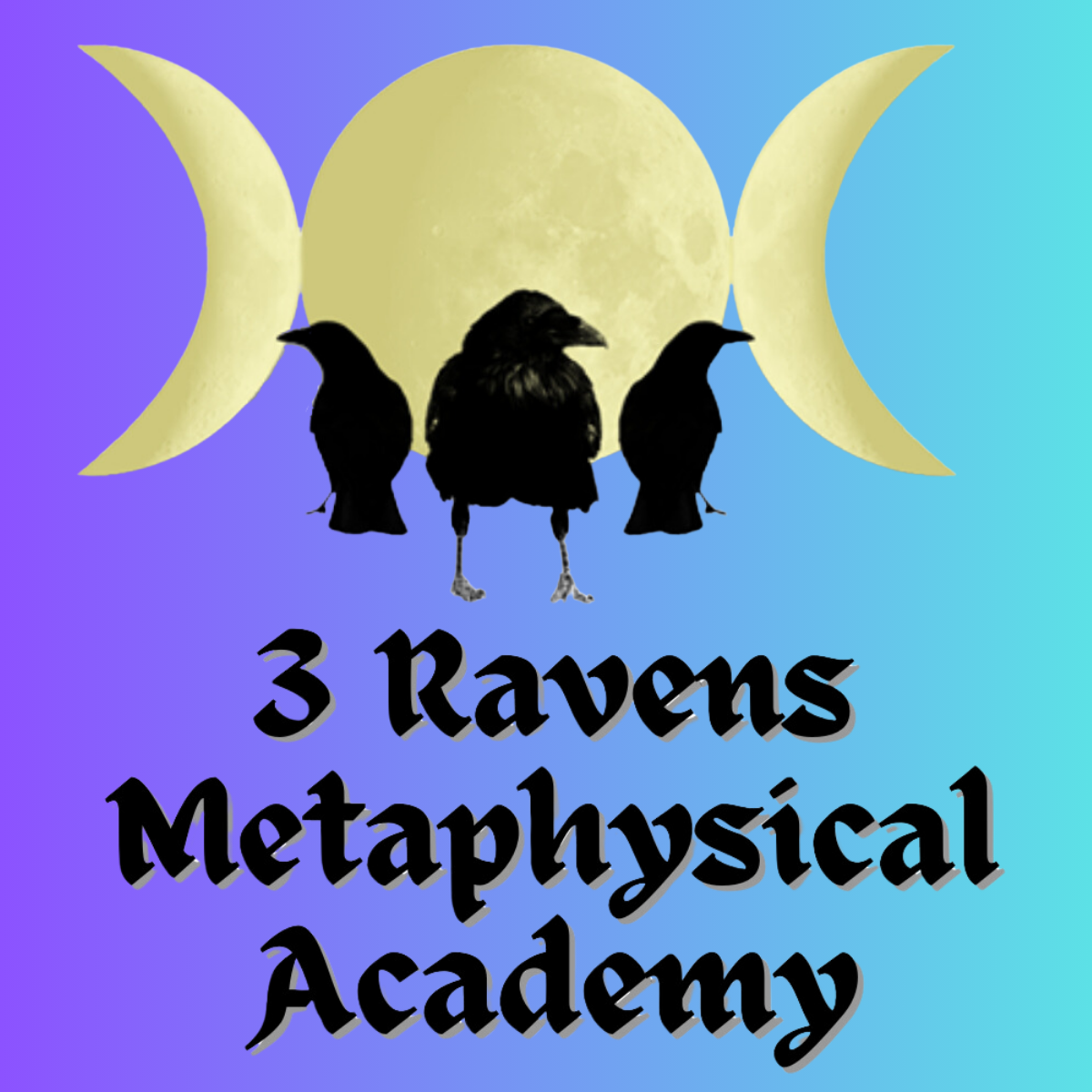 Courses and Workshops