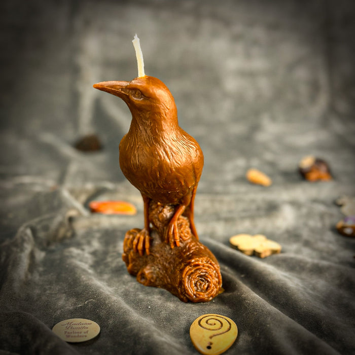 Beeswax Raven Magic Spell Candle - Intelligence & Spirit World Connection