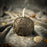 Beeswax Rolling in Dough Spell Candle - Luxury Wealth & Opulent Abundance