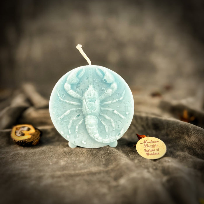 Beeswax Scorpio Scorpion Zodiac Spell Candle - Transformation, Power & Intuition