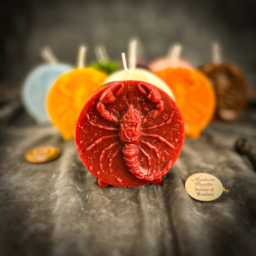 Beeswax Scorpio Scorpion Zodiac Spell Candle - Transformation, Power & Intuition