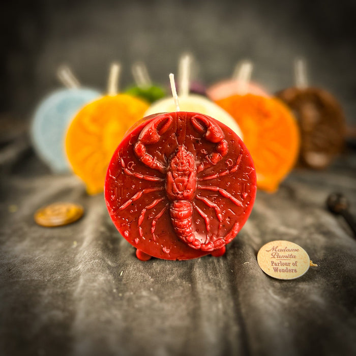 Beeswax Scorpio Scorpion Zodiac Spell Candle - Transformation, Power & Intuition