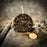 Beeswax Taurus Bull Zodiac Spell Candle - Abundance, Stability & Sensuality