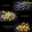 Healing Ritual Body Oil — Lavender & Chamomile Oil with Golden Healer Quartz